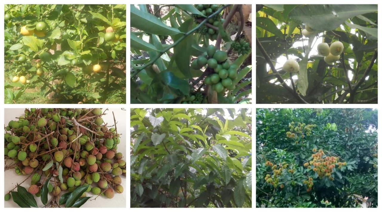 Anand Homestay Kattappana Bagian luar foto